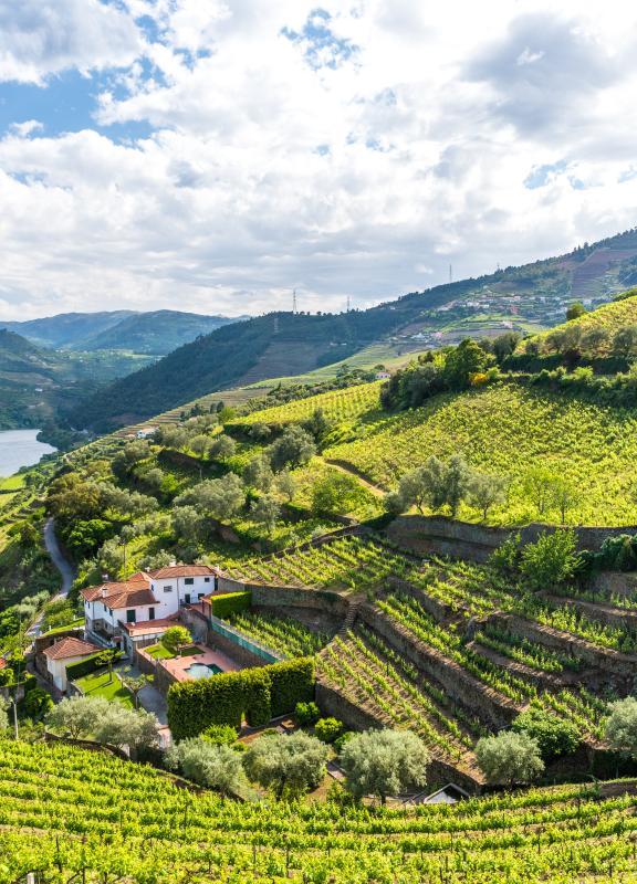 espacevert-montagne-maison-monforte-portugal