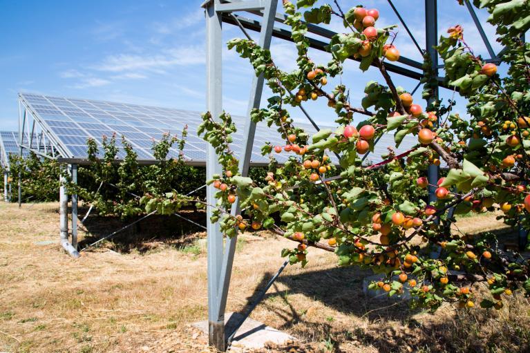 Enrichir le sol et imaginer des projets durables