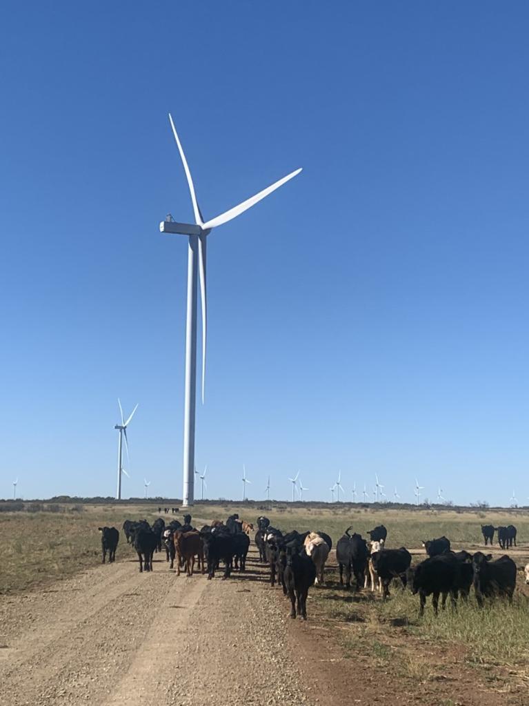 Turbines Vestas V162