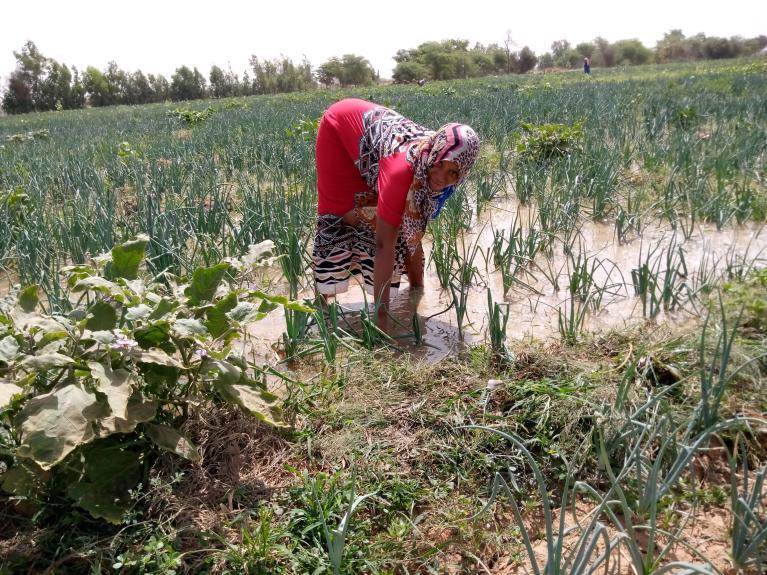 OM Fawrou Remobe : Sécurité alimentaire au Sénégal