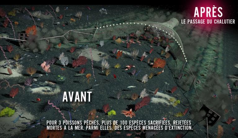 protection des océans Claire Nouvian Seaspiracy chalutage pêche eaux profondes