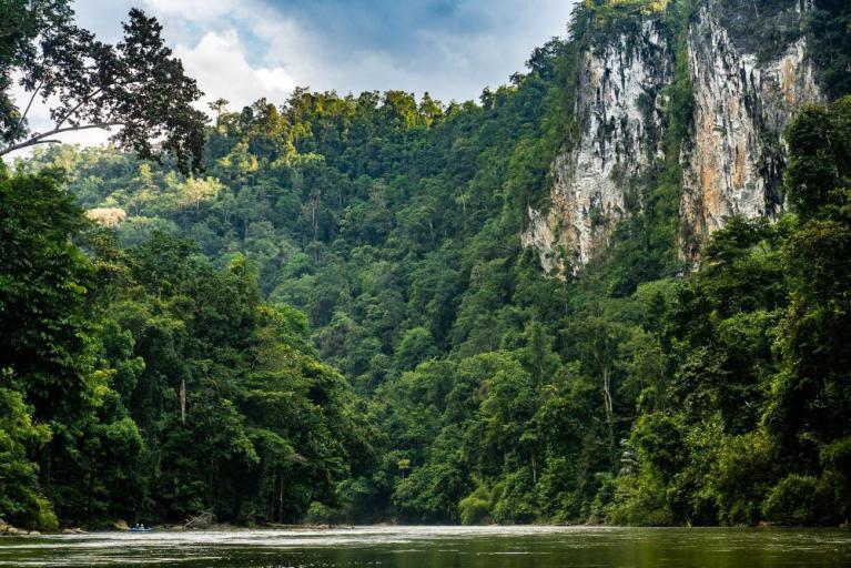 Wallacea Canopée expédition scientifique Indonésie Bali